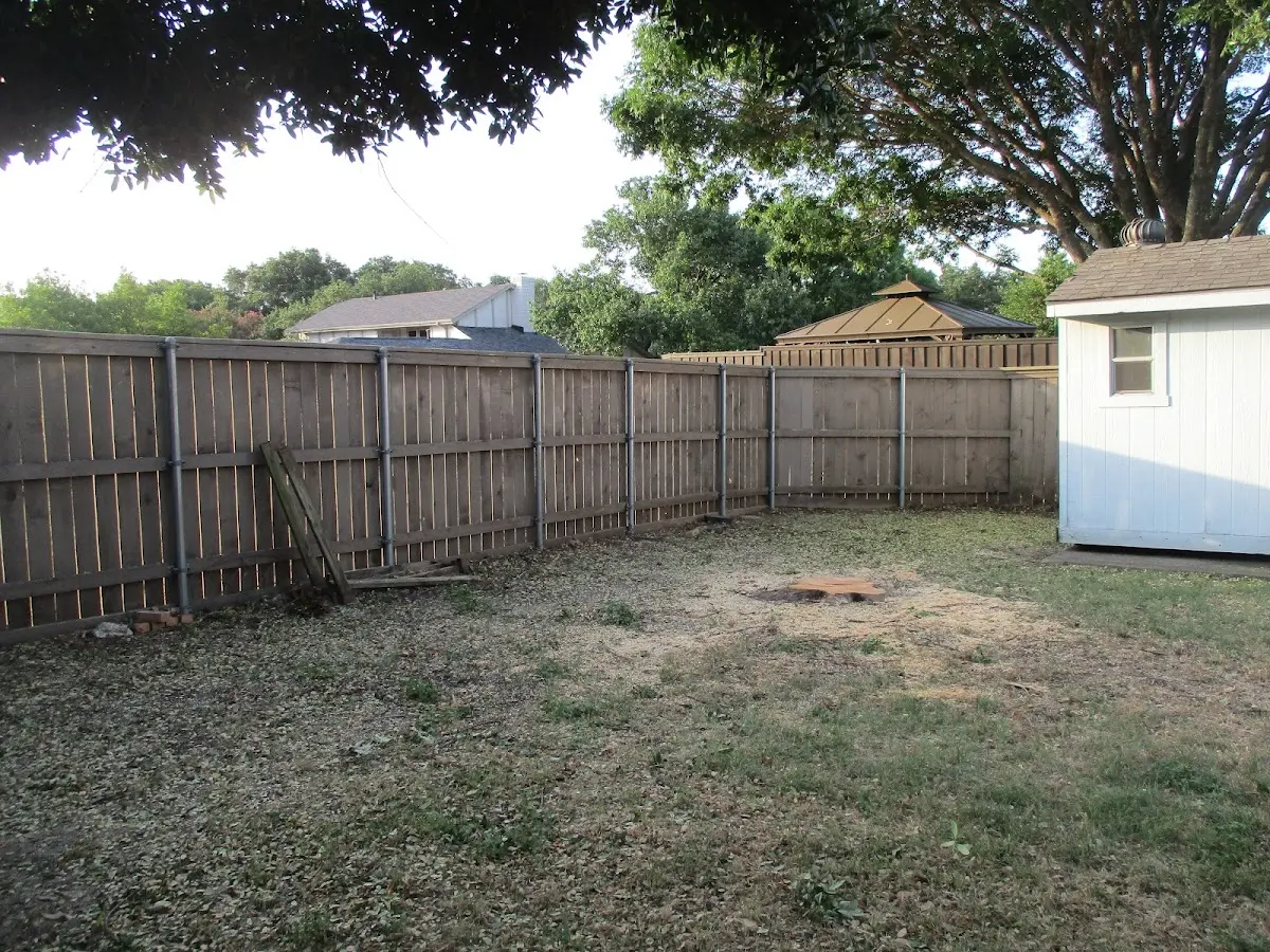 Cleared yard after professional tree removal in Cape Elizabeth